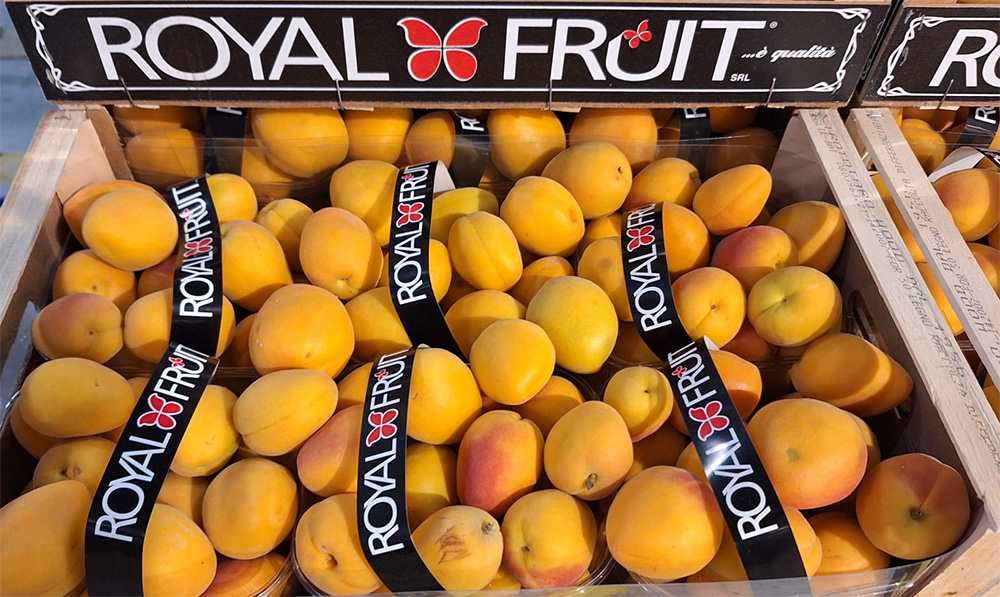 Albicocche cal. 45+ - Puglia - 3 euro al chilogrammo